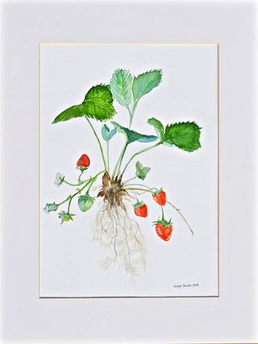 Print of Illustration Garden Paintings by Maga Smolik