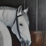 White horse by Maga Smolik