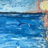 Florida Sunset Coast by Joan Innes