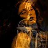 Open doors of limited thoughts by Sophie Le Berre