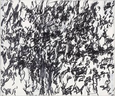 Original Abstract Nature Drawing by Elena Gluth