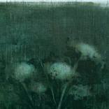 Wild Flowers by Carolien Wissing