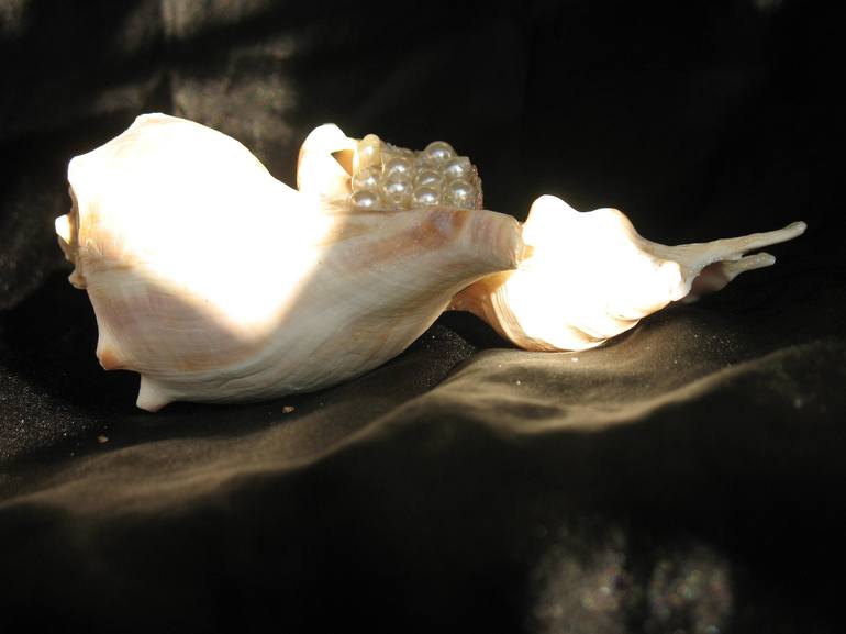 Pearly Sea Shell Schulpture - Print