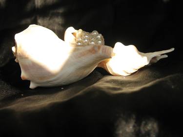 Pearly Sea Shell Schulpture thumb