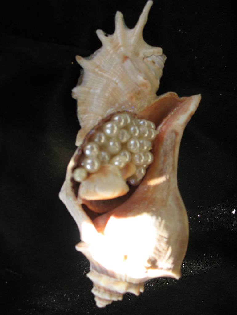 Pearly Sea Shell 2 - Print