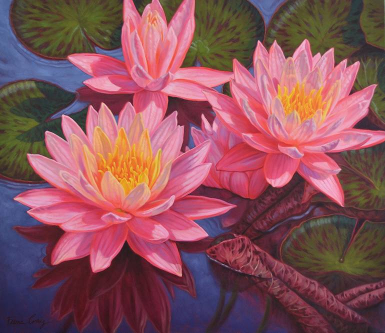 Drawings Of Water Lilies