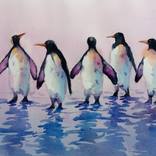 penguins 6 by Giorgio Gosti
