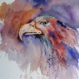 eagle 6 by Giorgio Gosti