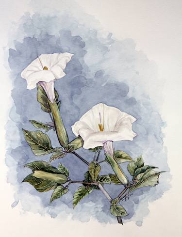 Print of Botanic Paintings by rami aydogdu