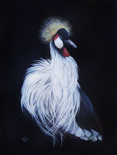 Grey African Crowned Crane Portrait thumb