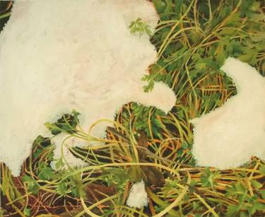 Original Fine Art Botanic Paintings by Christine Sauerteig-Pilaar