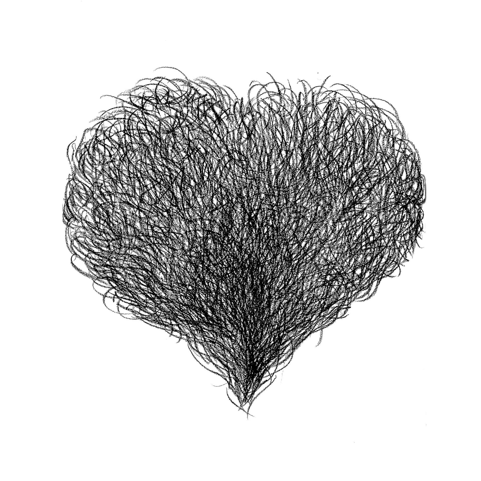 Unshaved Heart Drawing by Fausto Rullo | Saatchi Art