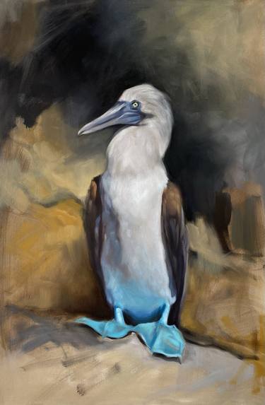 Galapagos I (Blue Footed Booby Seabird) thumb