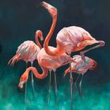 The Bouquet (Flamingos) by Aimée Hoover
