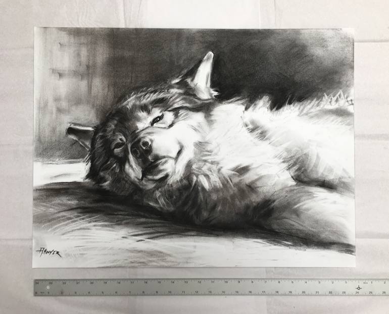 Original Figurative Animal Drawing by Aimée Hoover