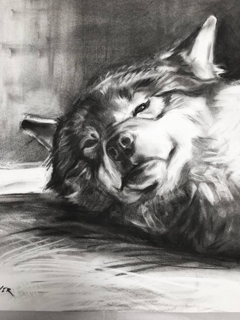 Original Figurative Animal Drawing by Aimée Hoover