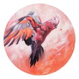 Espiègle (Rose Breasted Cockatoo / Pink Galah) by Aimée Hoover