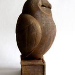 Owl on the book by Ihor Bereza
