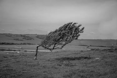 Windy Country thumb