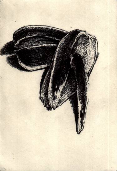 Original Food Drawings by r f r