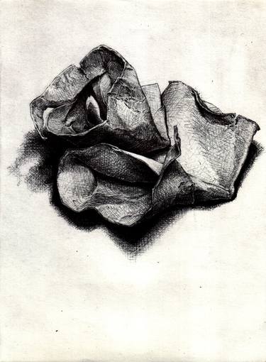 Original Figurative Still Life Drawings by r f r