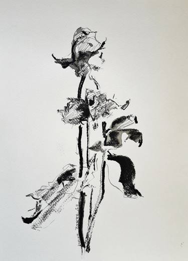 Original Abstract Floral Drawings by Karina Plachetka