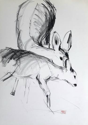 Original Minimalism Animal Drawings by Karina Plachetka