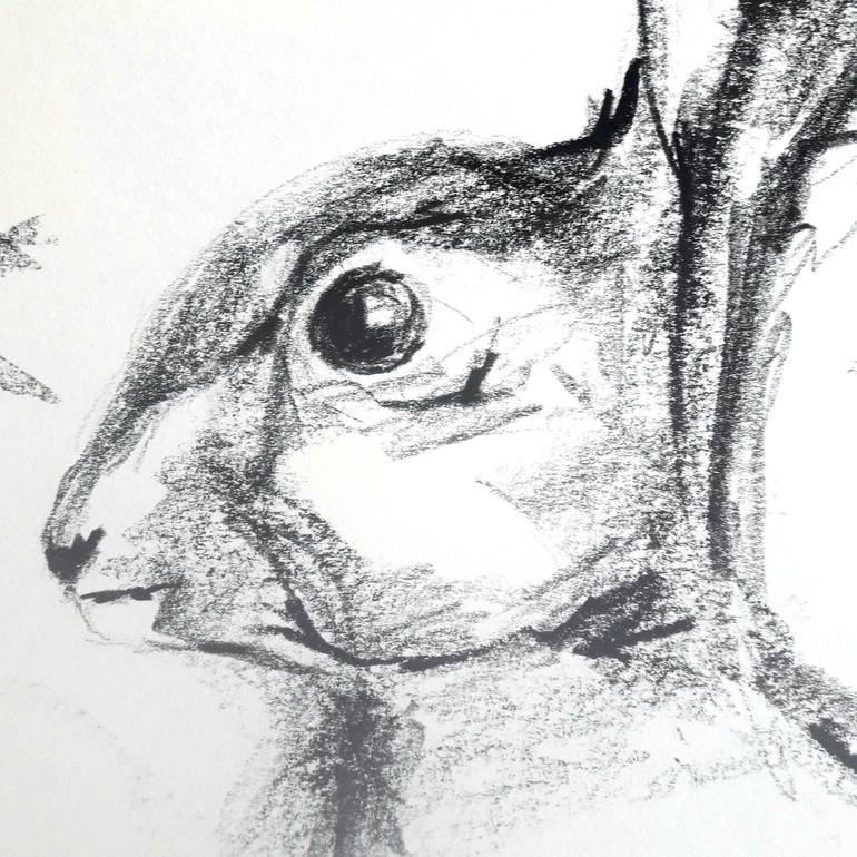 Original Animal Drawing by Karina Plachetka