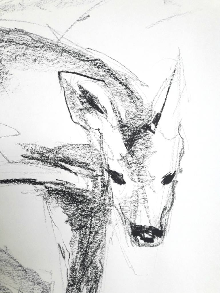 Original Animal Drawing by Karina Plachetka