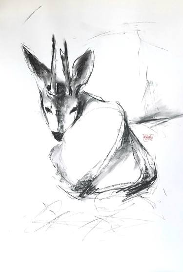 Original Animal Drawings by Karina Plachetka