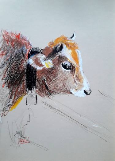 Original Realism Animal Drawings by Karina Plachetka