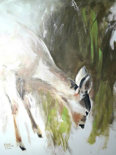 Original Animal Paintings by Karina Plachetka