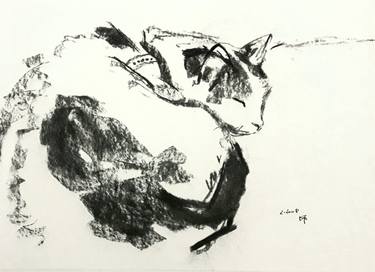 Original Expressionism Animal Drawings by Karina Plachetka