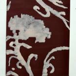 Night Thistle – Pattern of Light – Pattern eternalized – Fashionable Painting by Jadranko Rebec