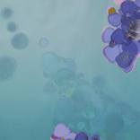 Collection Paintings for $1000 and Under