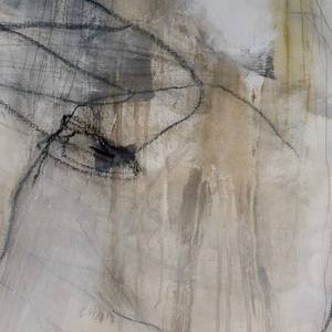 Collection Into the Woods V1