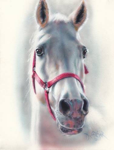 Original Horse Paintings by Dalibor Dado Pehar