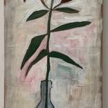 Lilly by Sophie Walraven