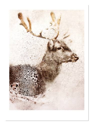 Original Animal Mixed Media by Marion McConaghie