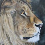 'Louis the Lion' by Nicola Colbran