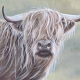 'Blondie' by Nicola Colbran