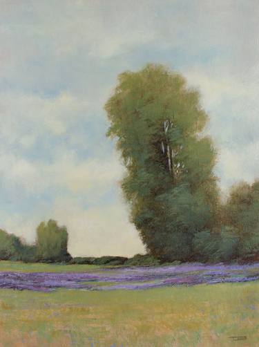 Lavender Field 240502 thumb