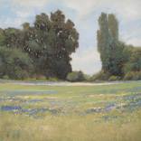 Landscapes thumb