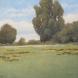 Colorful Flower Fields thumb