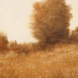 Tonal Landscapes thumb