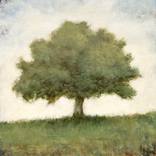 Zen Tree 29 260316 by Don Bishop