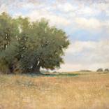 Summer Trees 260402 by Don Bishop