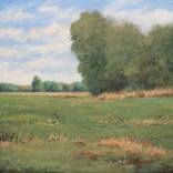 Spring Green 260520 by Don Bishop