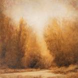 Gold Light 260614 by Don Bishop