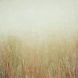 Collection New This Week 03-14-2022